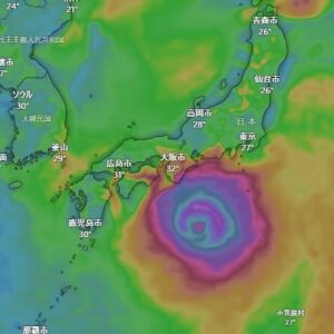 大澤奈留美の囲碁経歴！結婚や年齢、かわいいと評判の素顔